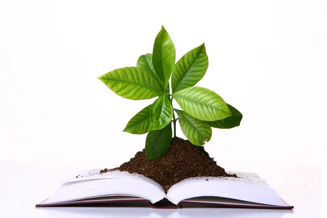 Basai Publication Basai Insights: where knowledge blooms